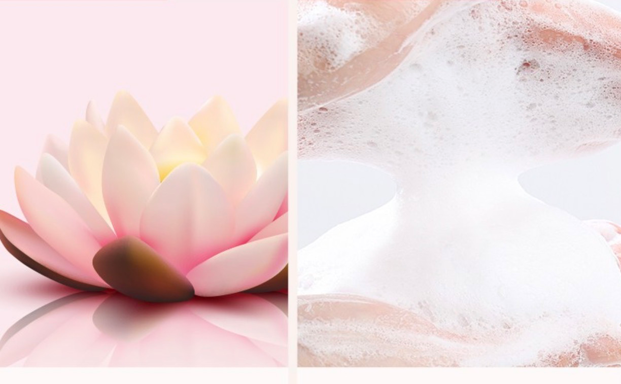 White Sandalwood Conditioner, 950ml, 1pack - Image 2