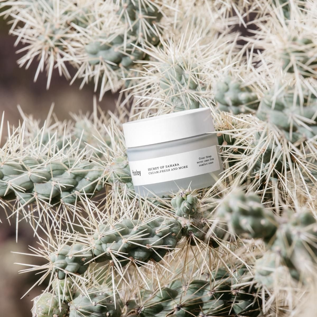 Secret of Sahara Cream Fresh and More, 50ml, 1pack - Image 2