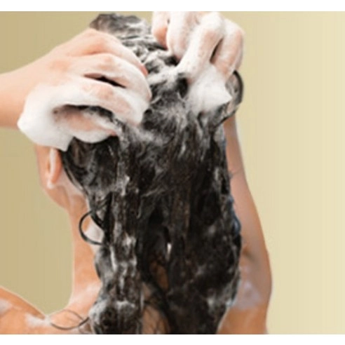 Silky Smooth Care Shampoo, 750ml, 1pack - Image 2