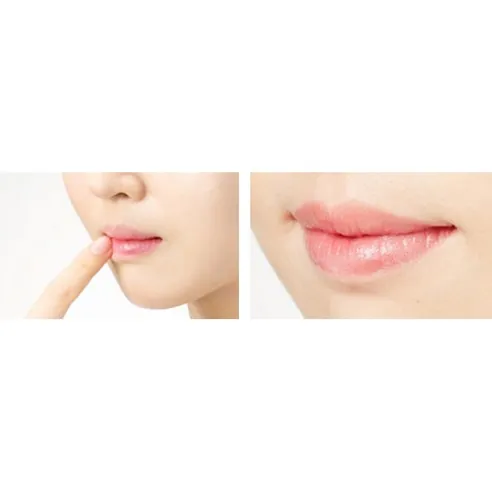 Coconut Honey Salve Lip Cream, 10g, 1pack - Image 3