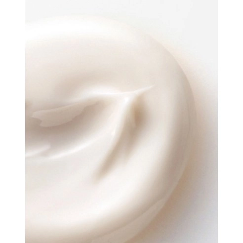 Seed Ceramide Cream, 50ml, 1pack - Image 3