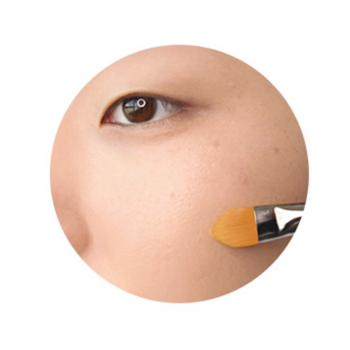 195 Concealer Brush, 1pack - Image 4
