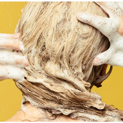 Seanik Solid Shampoo, 55g, 1pack - Image 4