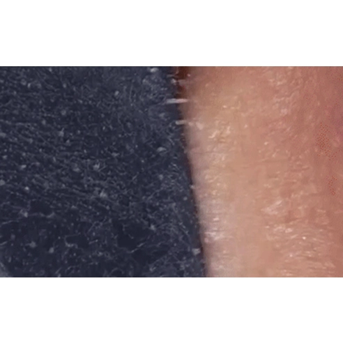 Skin Free Black Charcoal Nose Pack - Image 4