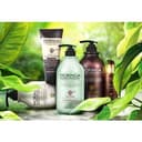 BARON Moringa Repairing Shampoo, 1,000g, 1pack - Image 4