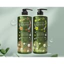 Botanical Scalp Shampoo [Floral Orange], 1,000ml, 1pack - Image 5