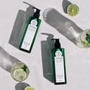 Bergamot Scalp Deep Cleansing Shampoo, 400ml, 1pack - Image 2