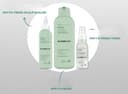 Phyto Fresh Tonic, 100ml, 1pack - Image 2