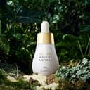 Mastic 6-Hours Ampoule, 15ml, 1pack - Image 6