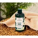 Moringa Conditioner - Image 2