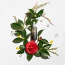 Black Rice Facial Oil, 30ml - Image 4