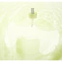 Gingko Leaf Pore Fir Mask, 5ea, 1pack - Image 2