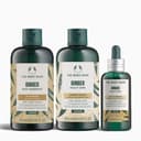 Ginger Scalp Care Scalp Serum, 50ml, 1pack - Image 3