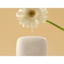 Original Soap [White Soap], 100gx10ea, 1pack - Image 2