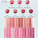 Blurring Time to Kiss & Blush, 4.5g, 602 Cool Summer, 1pack - Image 2