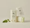 Mugwort + Camellia Matte Sun Stick [SPF50+/PA++++], 18g - Image 2