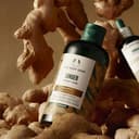 Ginger Scalp Care Shampoo, 250ml, 1pack - Image 4