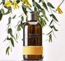 Eden Breeze Bath and Massage Oil, 295ml, 1pack - Image 2