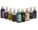 Provence Body Wash, 500ml, 1pack - Image 3