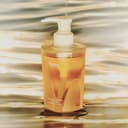 Secret of Sahara Body Wash [Moroccan Gardener], 300ml, 1pack - Image 3