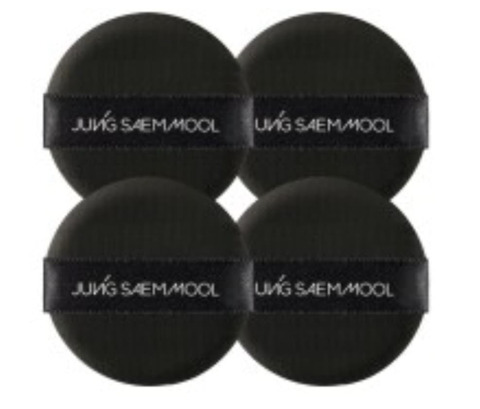 Cushion Puff, 2ea, 1pack - Image 2