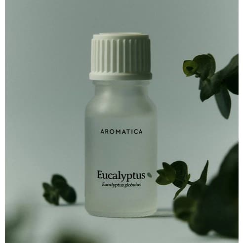 Eucalyptus Essential Oil, 10ml, 1pack - Image 2