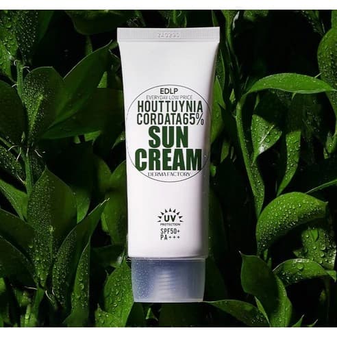 EDLP Houttuynia Cordata 65% Sun Cream [SPF50+/PA+++], 50g - Image 3