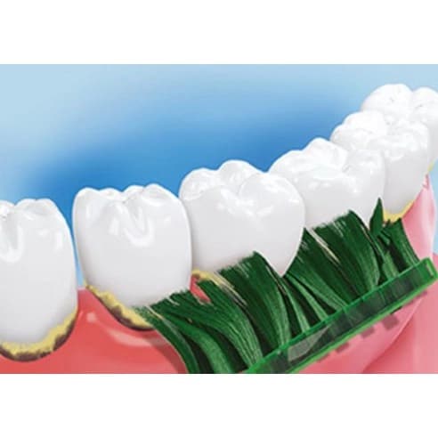Songcheon Salt Fine Bristle Toothbrush, 4ea - Image 5