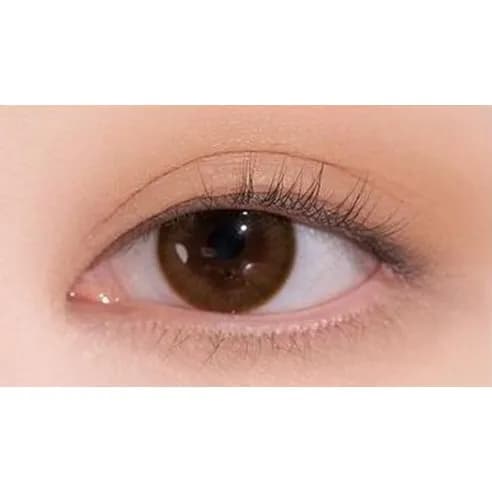 Shadow Palette [12 Warm Blending], 8g, 1pack - Image 5