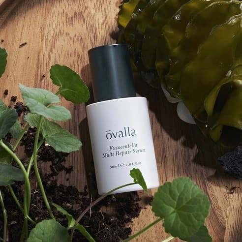 Fucocentella Multi Repair Serum, 30ml, 1pack - Image 3