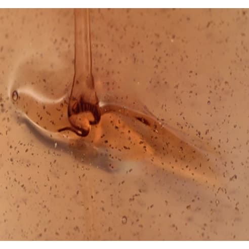 Youngan Jin Essence - Image 3