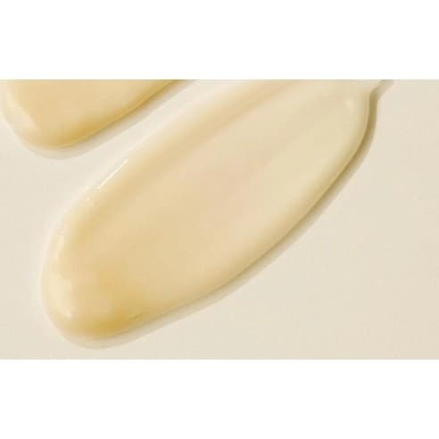 Phyto Protein Volumizing Ampoule, 30ml, 1pack - Image 2
