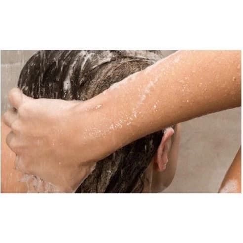 Tea Tree and Lime Vegan Oily Scalp Care Cool Hair Loss Shampoo, 1000ml, 1pack - Image 3