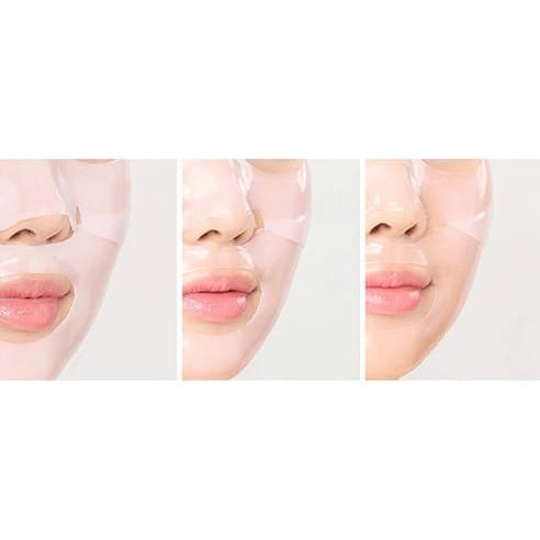 Round Lab Camellia Deep Collagen Elasticity Gel Mask, 4ea, 1pack - Image 6