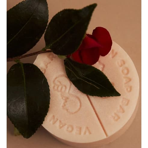 Vegan Treatment Bar, 120gx2ea, 1pack - Image 4