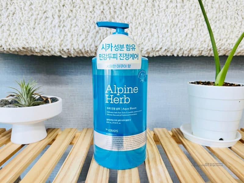 Alpine Herb Damage Care Cica Scalp Shampoo [Aqua], 800ml, 1pack - Image 2