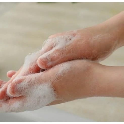 Vegan Perfumed Hand Wash [Santal Wood], 300ml+300ml - Image 3