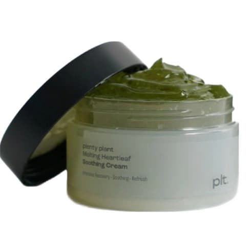 Melting Heartleaf Soothing Cream, 100g, 1pack - Image 3